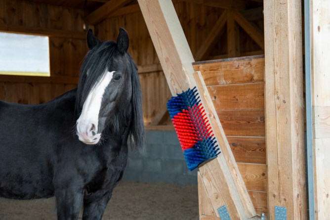 Producten halfronde koeborstel veeborstel blauwrood xl