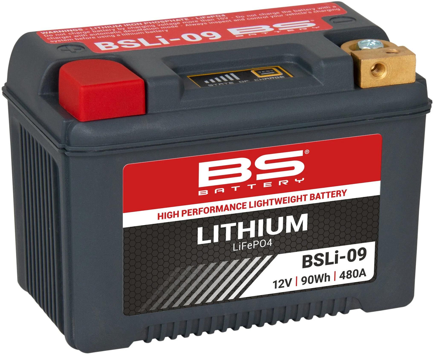 BS-BATTERY lifepo4 batterie bsli-09 battery li09 bs lithium