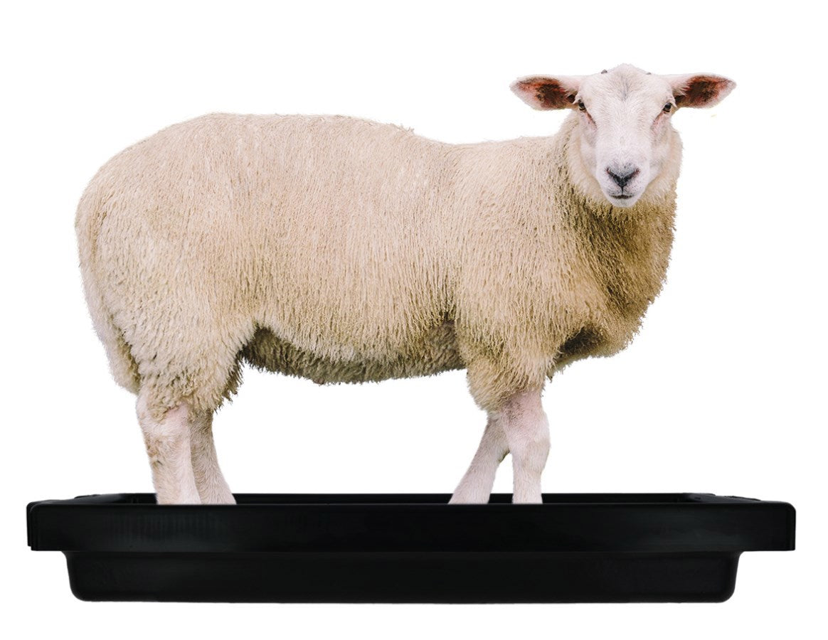 Imp Producten klauwbad supercombi mini 120x40x18cm 50l schaap