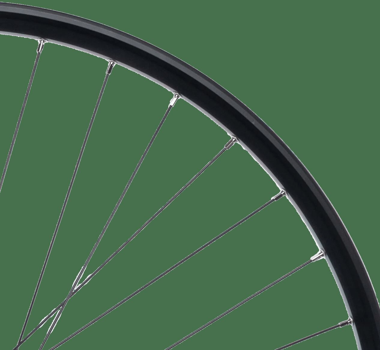 CONTEC hinterrad taurus 21 + shimano fh-qc400 hr 29 aluminum hk sw 8-1 sp.sw 2.00