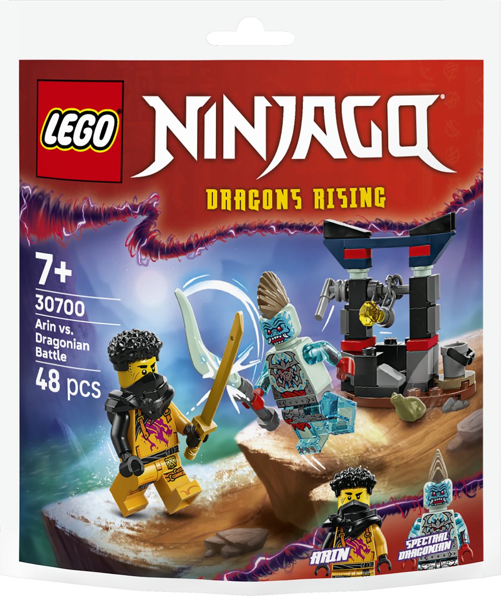 LEGO ninjago 30700 arin vs. draconier