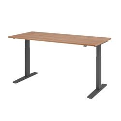 Bach Zit-sta-bureau hammerer vxmka19 n g multikleur 1800 x 800 mm