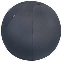 Leitz Zitbal ergo cosy 5279