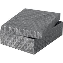 Esselte Opbergdoos 628285 medium plat 9 l grijs
