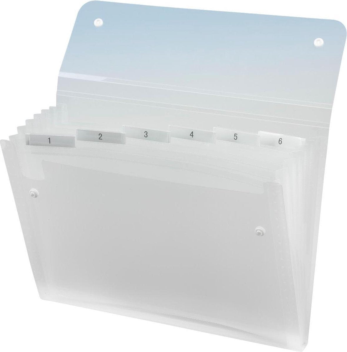 Rexel Sorteermap 6 comp. ice t