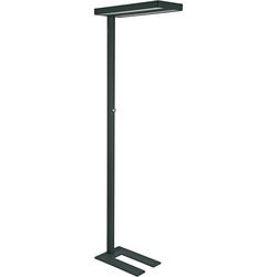 Vloerlamp MAUL 8258490 MAULjaval Zwart