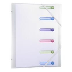 Sorteermap Exacompta 56177E A4 Frosted