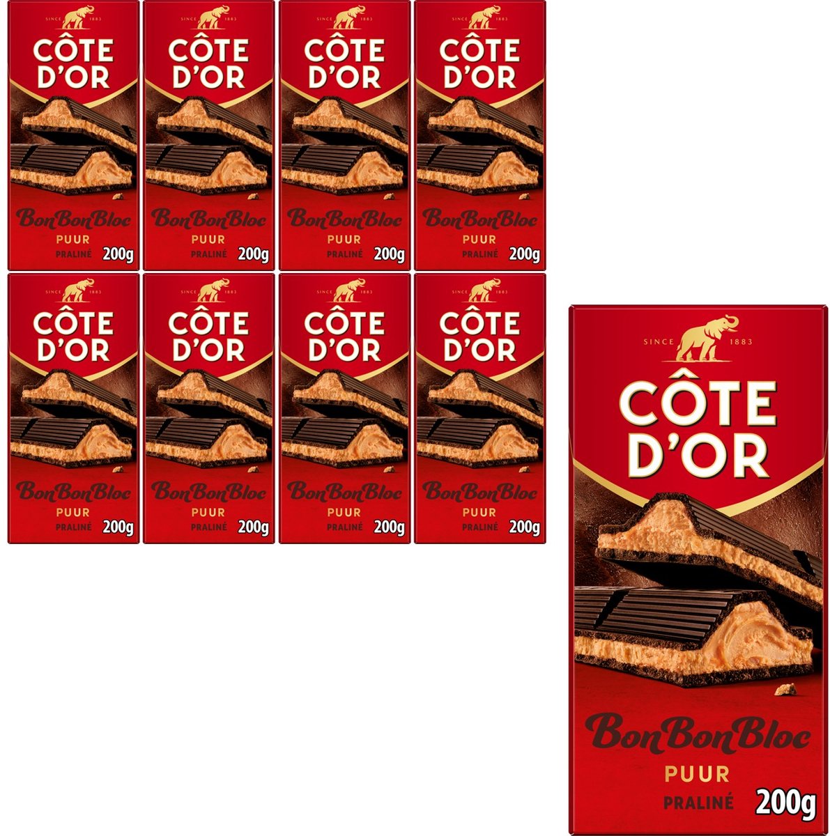 Côte D'Or bonbonbloc chocoladereep puur praliné 8 x 200g - chocolade tabletten - cadeau vrouwen of mannen verjaardag - voorraad