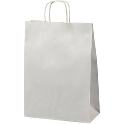 Papieren zak S Wit 8,7 l 240x110x330 mm