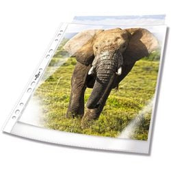 Showtassen DURABLE 265819 Transparant