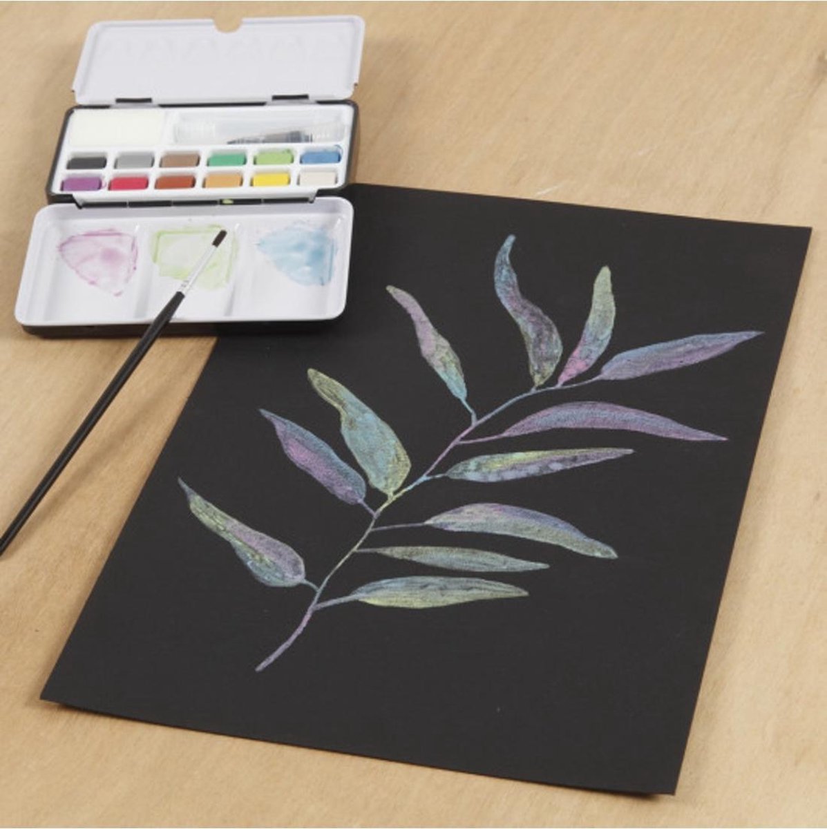 Pigment Art Art aqua aquarelverf, diverse kleuren, 12kleuren