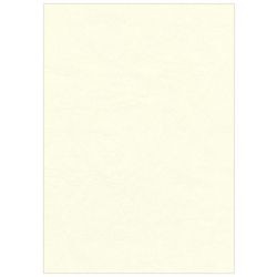 Inbindkaft Fellowes 5370004 Pulp Crème