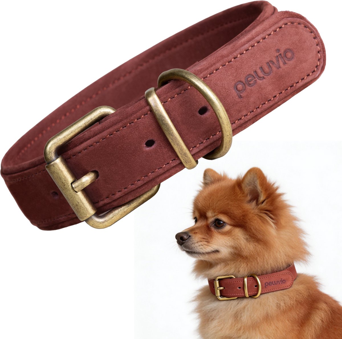 PELUVIO rexor – leren hondenhalsband – bruin – xs-s 26,5-31 cm – 2,5 cm breed – verstelbare halsband van rundleer – koperen gesp – voor kleine honden en puppy’s