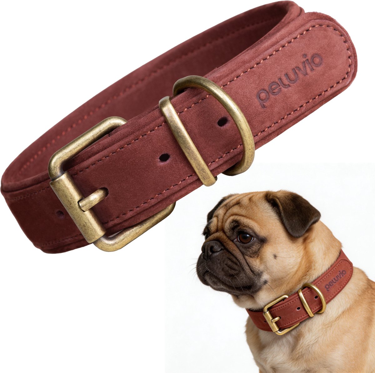 PELUVIO rexor – leren hondenhalsband – bruin – s 26,5-34 cm – 2,5 cm breed – verstelbare halsband van rundleer – koperen gesp – voor kleine honden