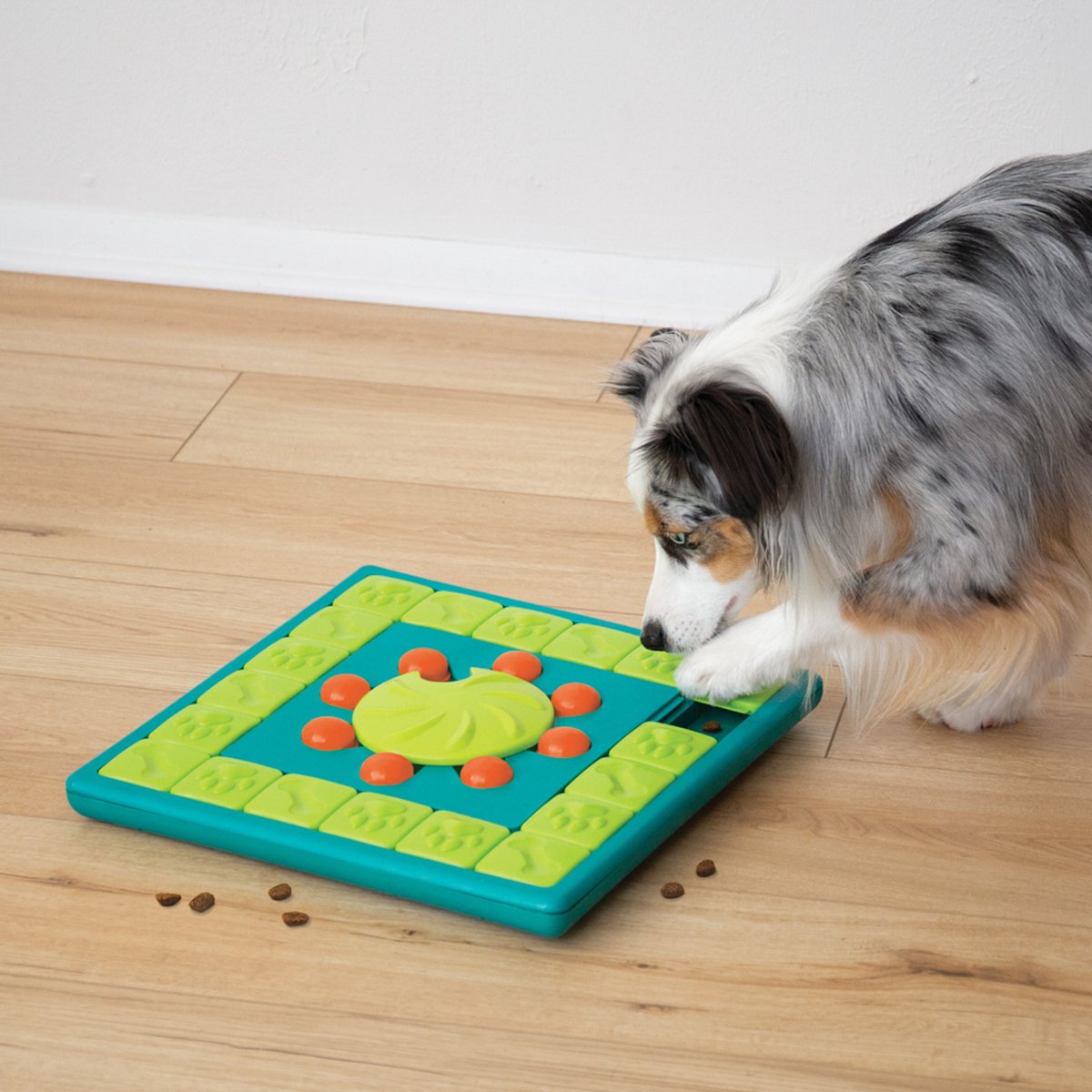 Nina Ottosson multipuzzle blu
