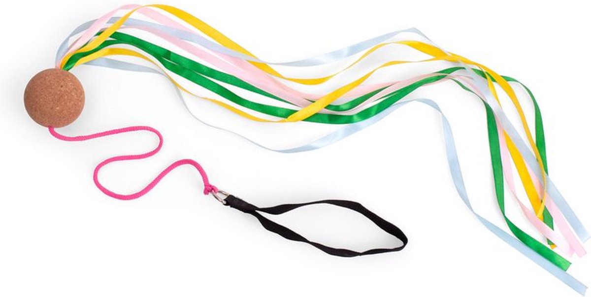 BS Toys poi slinger - dansen - bewegen - cadeau kind - met gekleurde linten