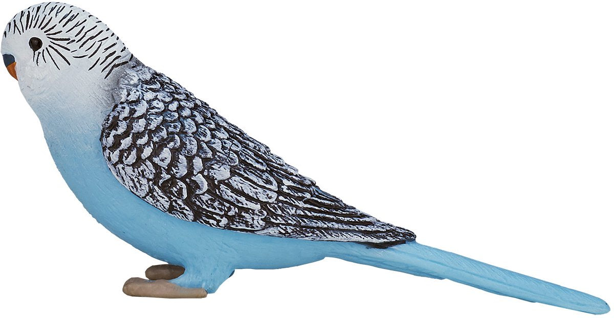MOJO farmland grasparkiet blauw - 387292