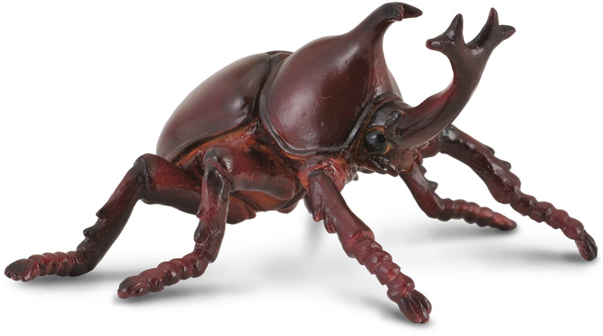 Collecta figurine - neushoornkever - (m) - handgeschilderd - miniatuur