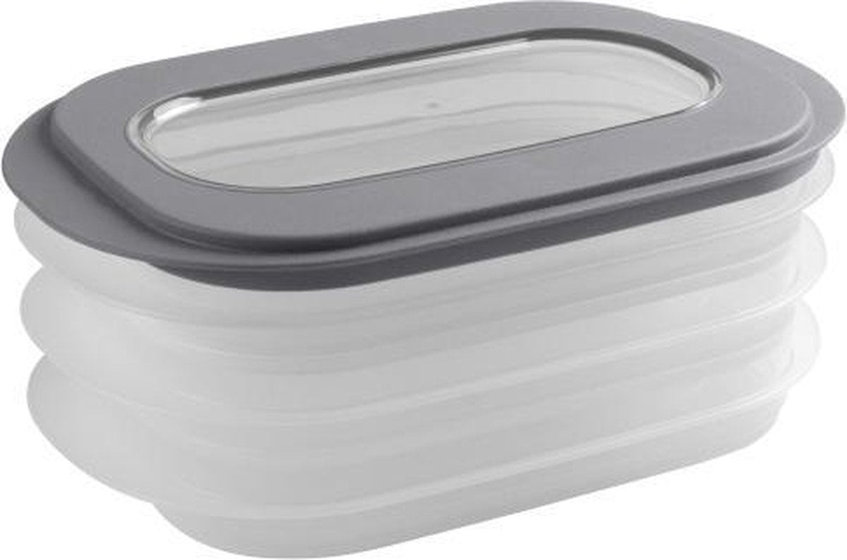 Sunware sigma home vleeswarendoos - 26.5x17.2x10.5 cm - transparant grijs