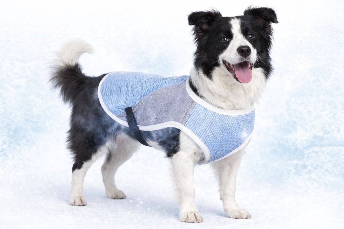 Flamingo Koeljas hond - cooling vest hond - koelvest hond - xl - 45 cm - frozen blauw grijs - verstelbare verkoelende hondenjas voor de zomer