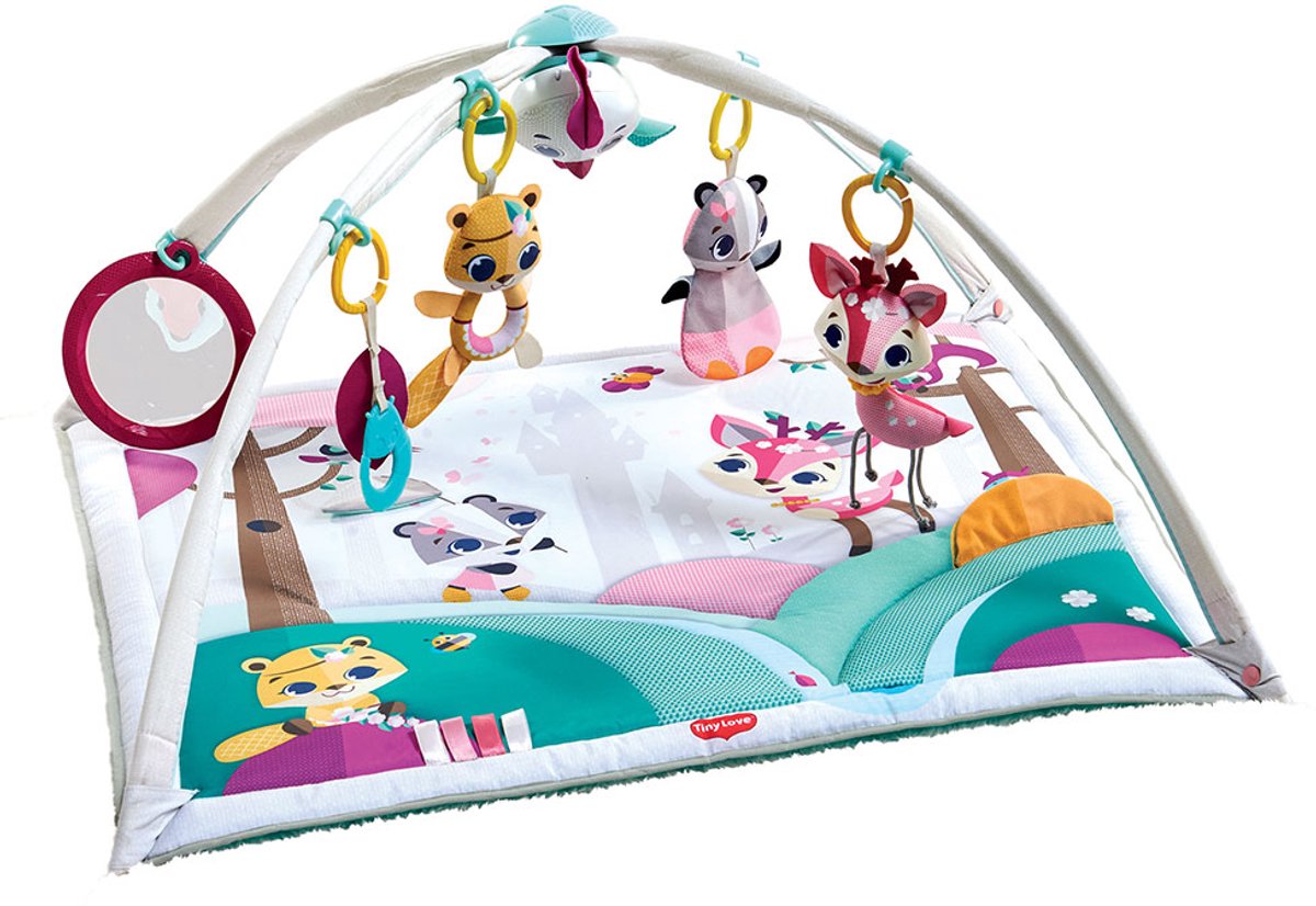 Tiny Love babygym gymini deluxe - princess tales - vanaf de geboorte tot 1 jaar oud