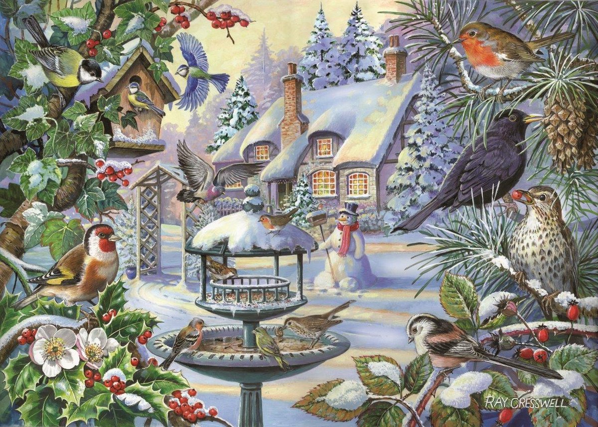 House Of Puzzles legpuzzel winter birds 500 xl stukjes dieren.