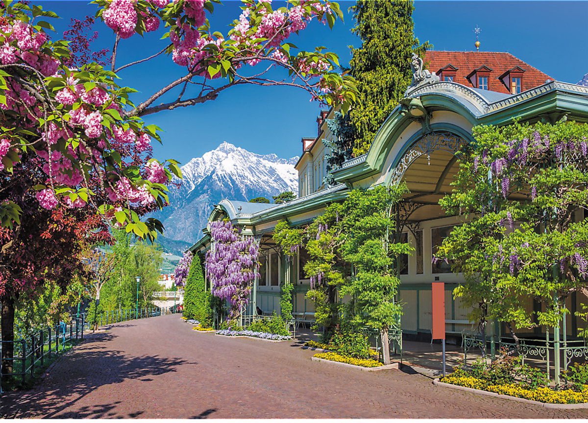 Trefl 2000 - merano, italië