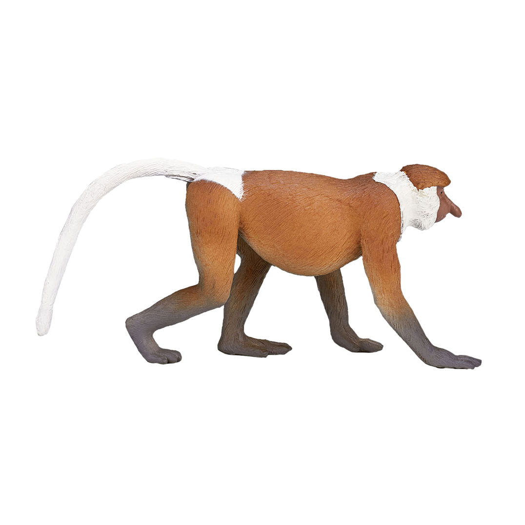 MOJO wildlife neusaap - 387176