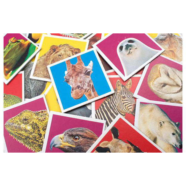 Tactic Wildlife memo