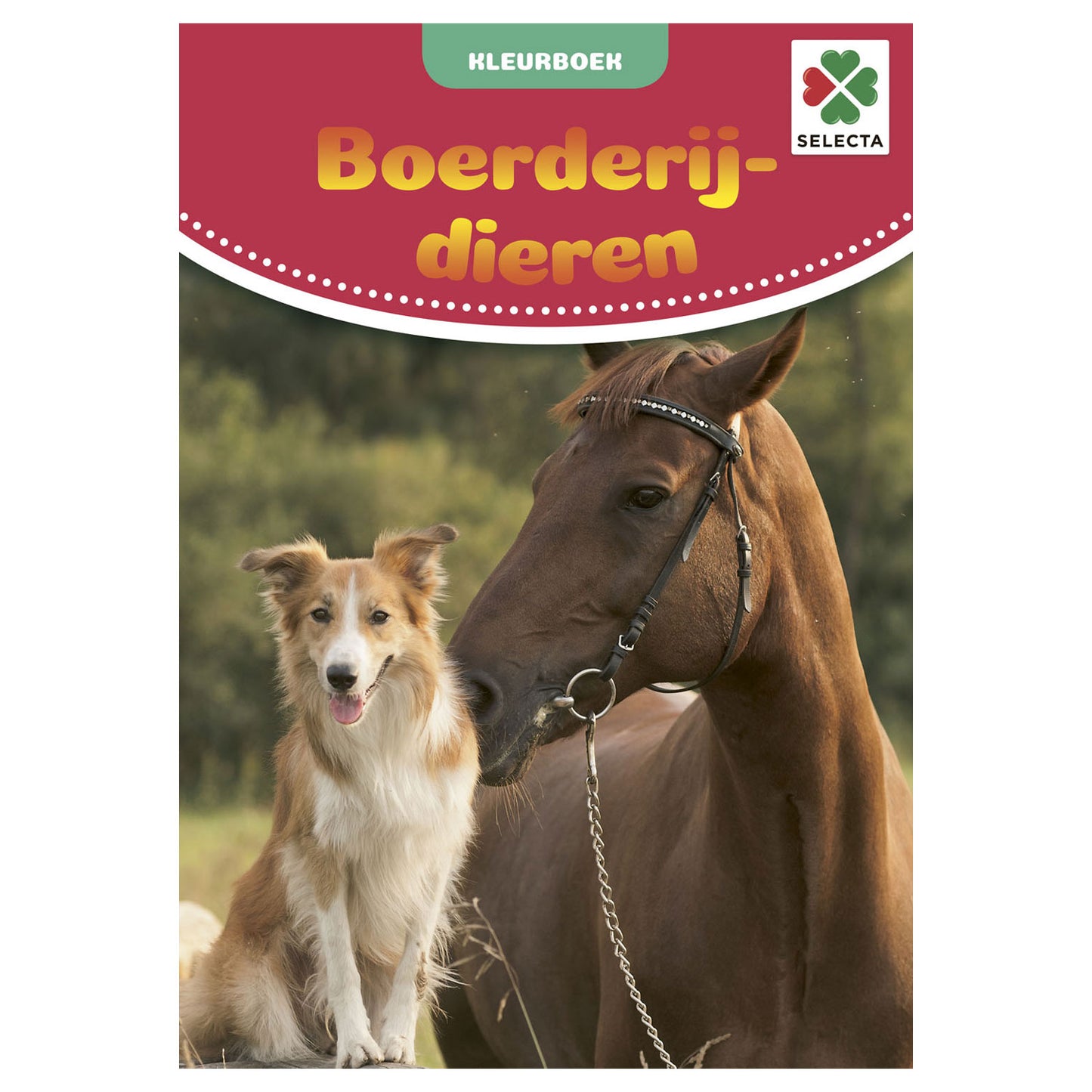 Tactic Kleurboek boerderijdieren