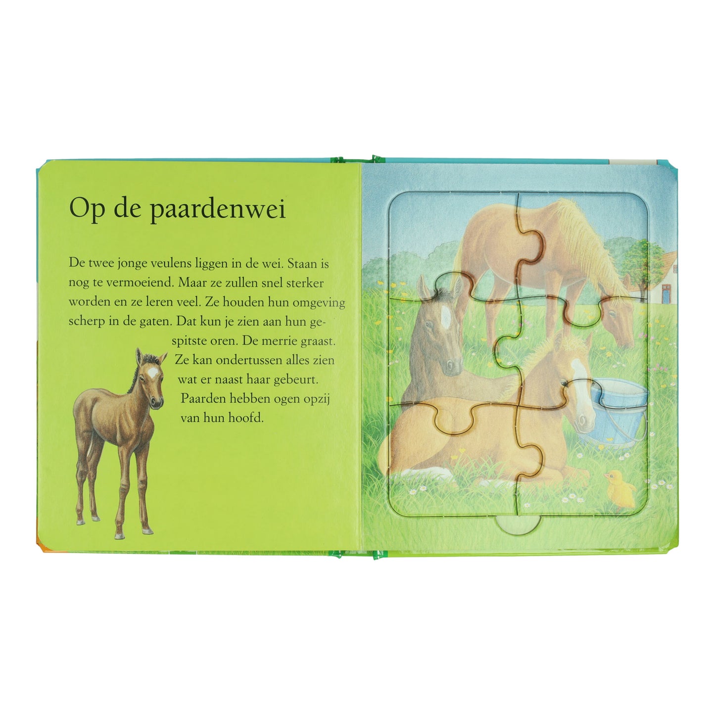 Wins Holland Puzzelboek boerderij - 5 legpuzzels