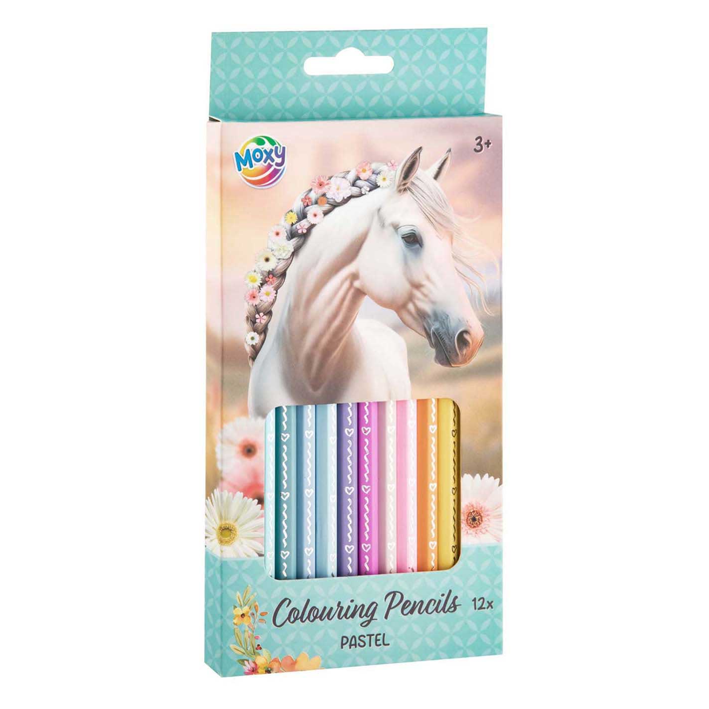 Merkloos Sans Marque Kleurpotloden pastel - 12st.