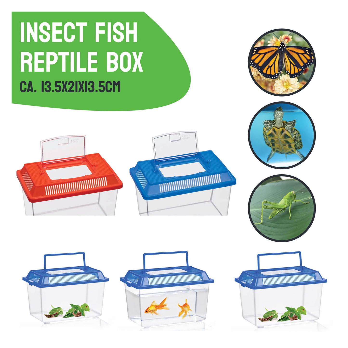 Merkloos Sans Marque Insectenbox met deksel - transparante kunststof insectenbak 1,8 liter.