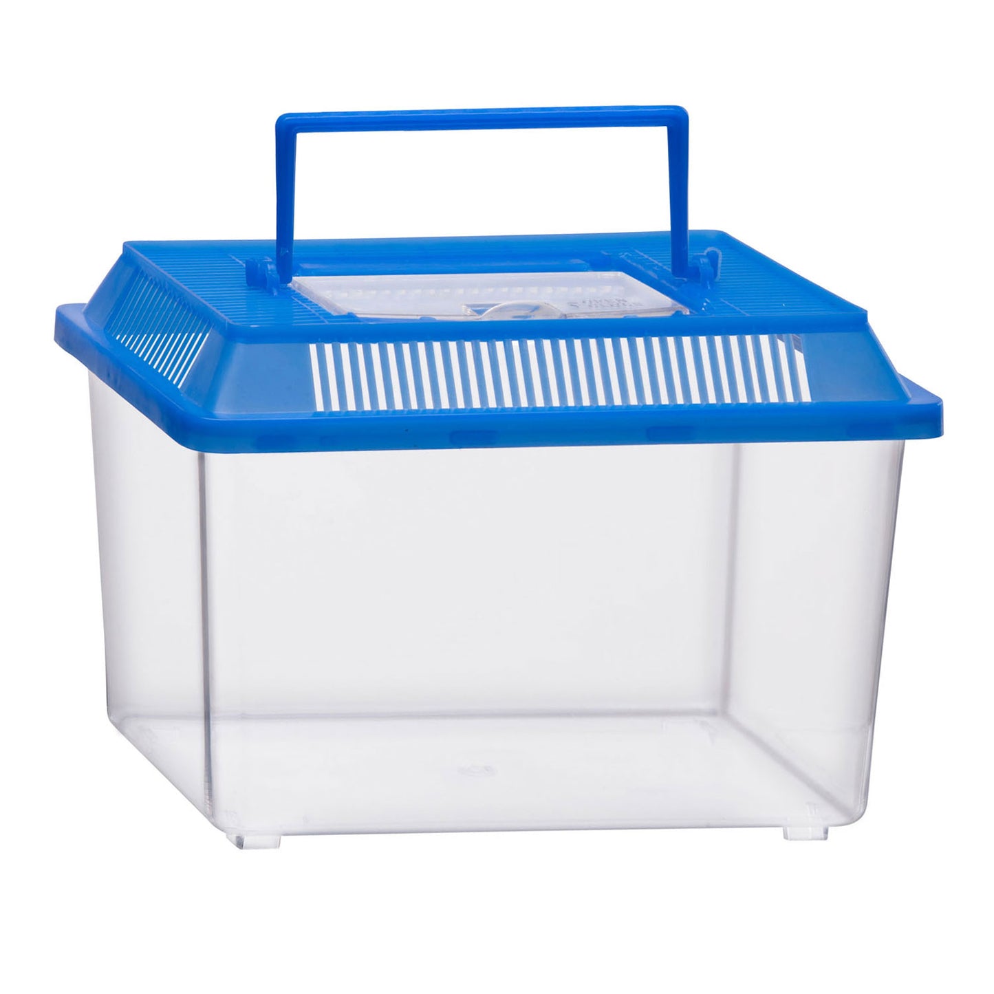 Merkloos Sans Marque Insectenbox met deksel - transparante kunststof insectenbak 1,8 liter.