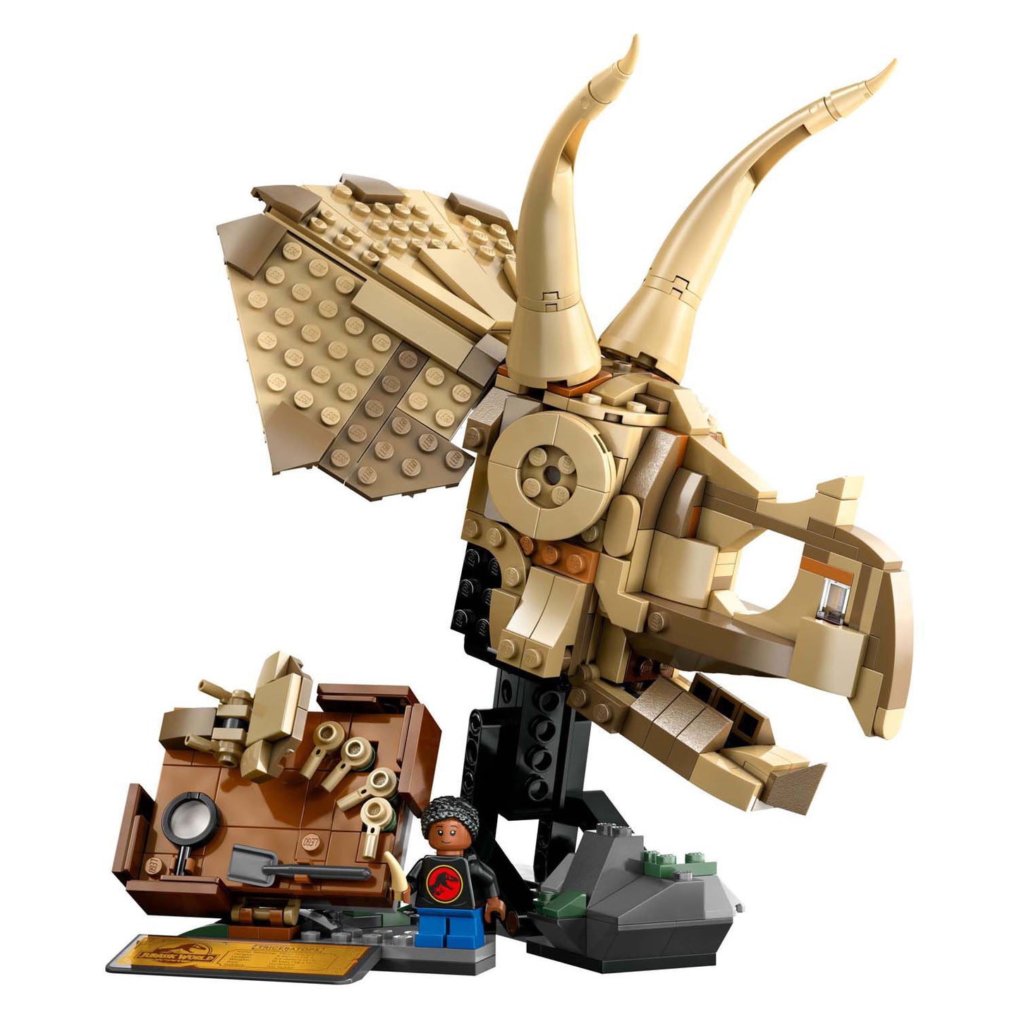 LEGO jurassic world 76969 dinosaurusfossielen: triceratops schedel