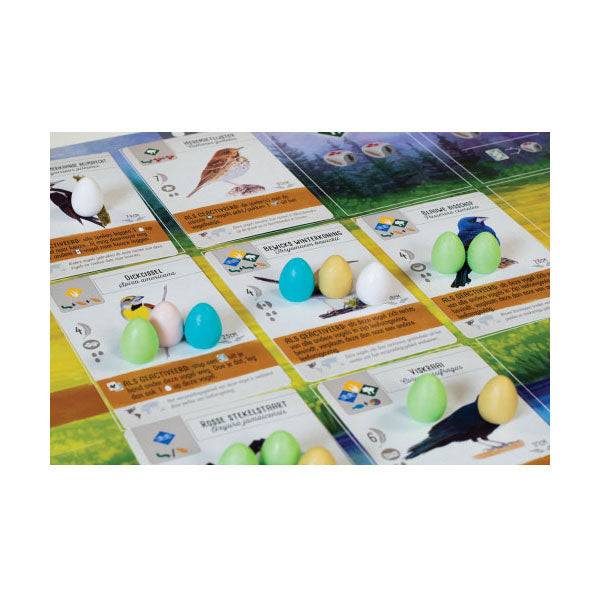 999Games 999 games wingspan bordspel