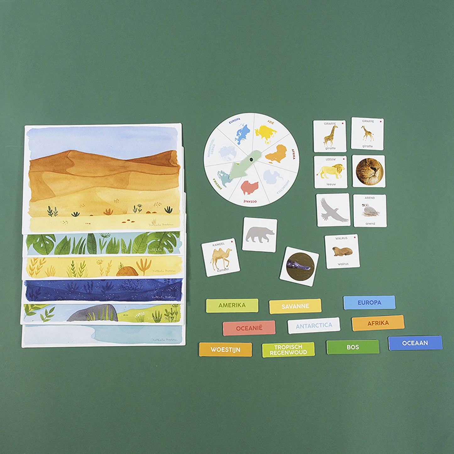 Ik Leer Jumbo ontdekken dieren educatief spel