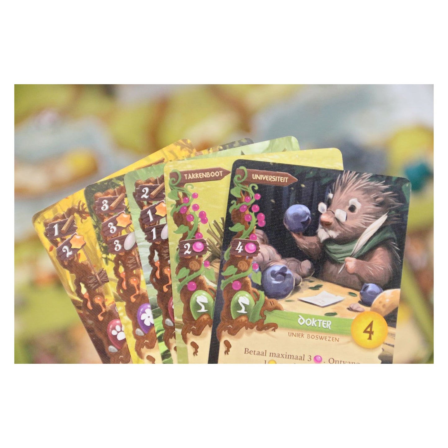 White Goblin Games everdell bordspel (nederlands, 1 - 4 spelers, 40 minuten, vanaf 10 jaar)
