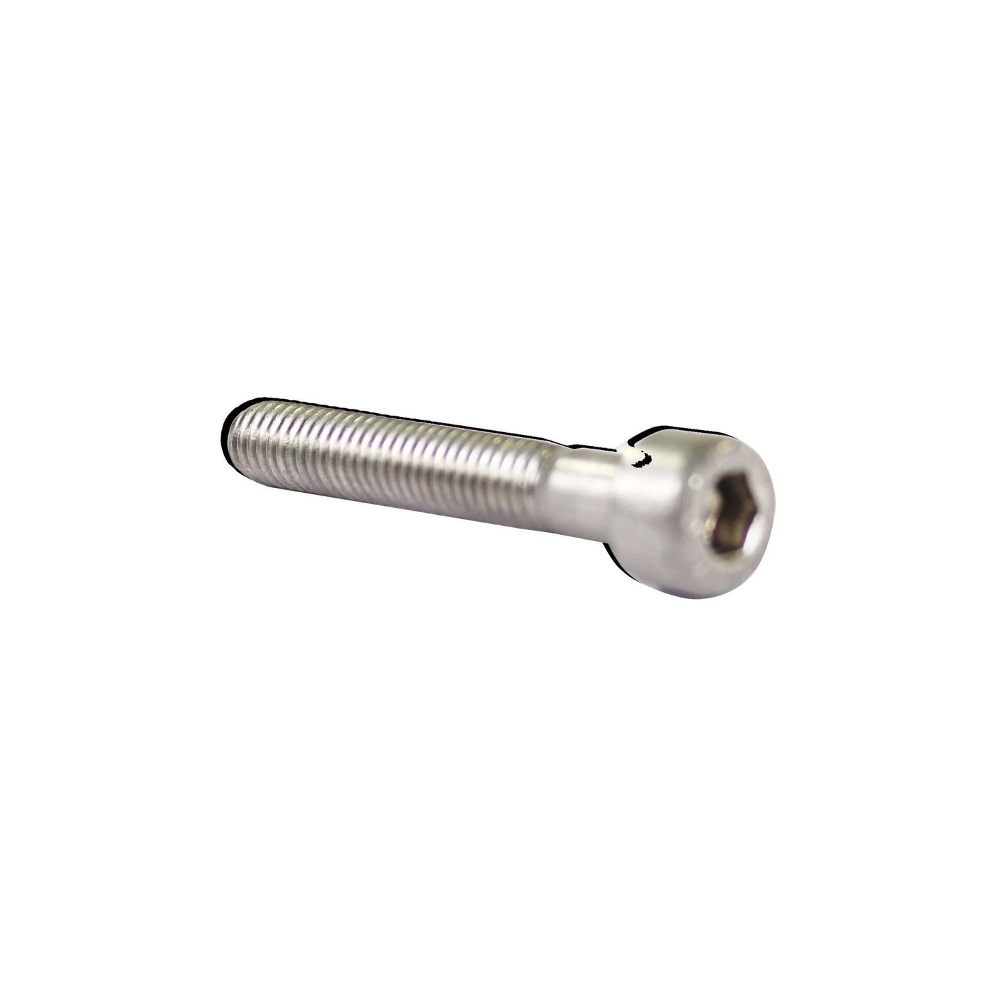 Bofix Inbusbout M5 x 30 RVS (25 stuks)