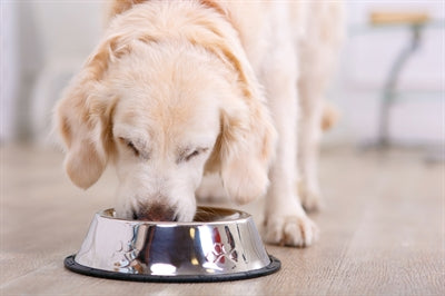 Happy Pet voerbak antislip