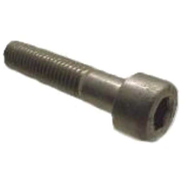 Bofix Inbusbout m8 x 40 rvs (zadelpen)