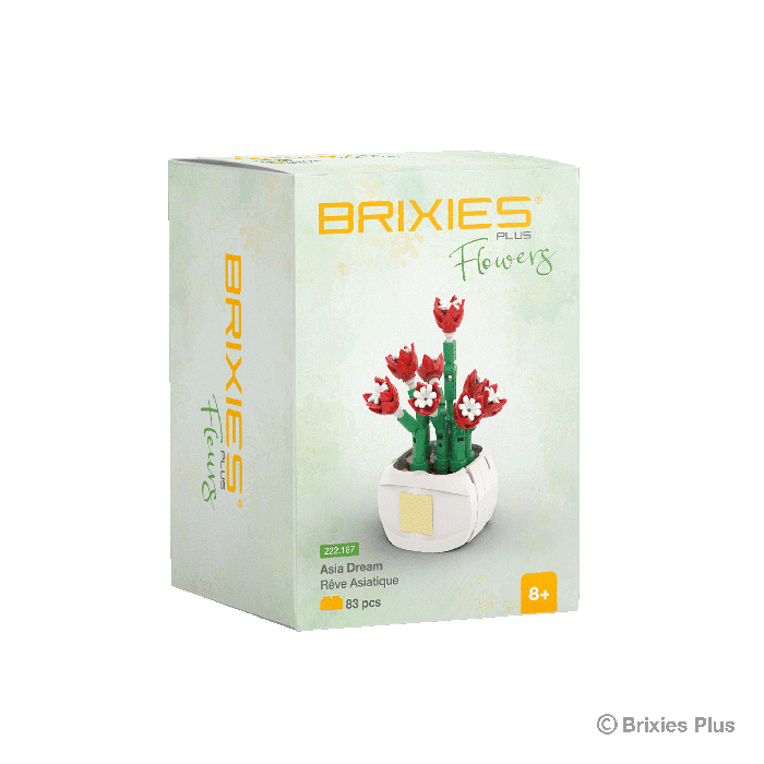 Oku Brixies plus flower asia dream bouwsteentjes