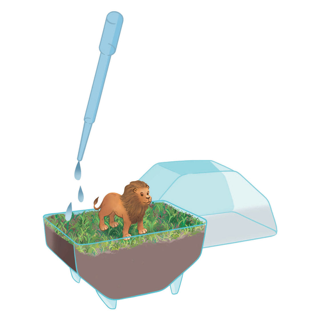 Clementoni wetenschap spel my wild terrarium - leeuw