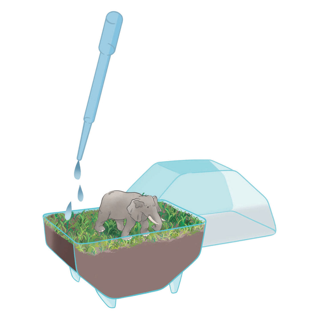 Clementoni wetenschap spel my wild terrarium - olifant
