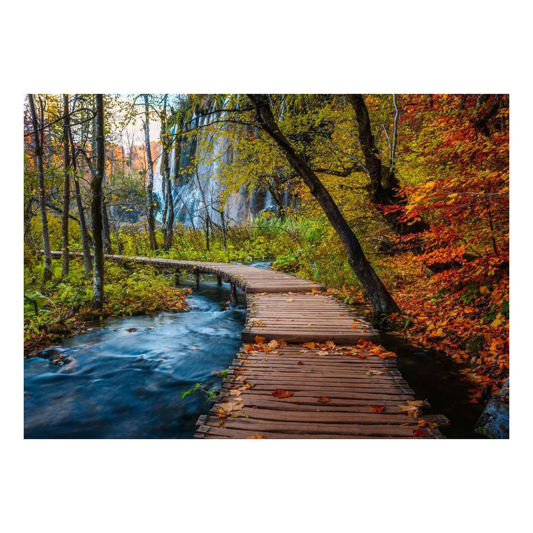 Ravensburger puzzel autumnal wood trail