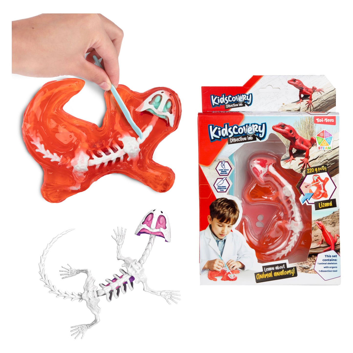 Toi-Toys slijm uitgraafset dier met tool
