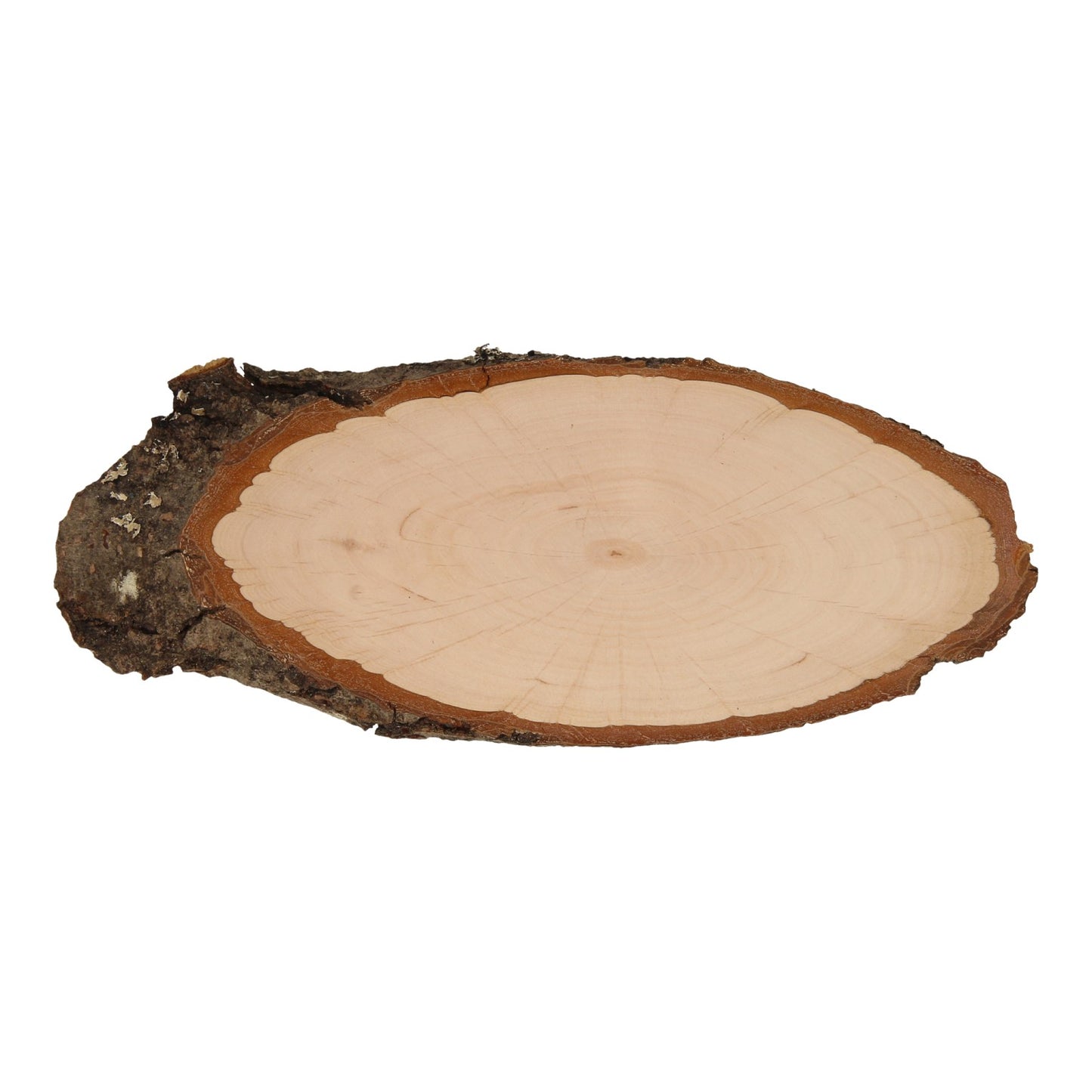 Playwood Maak je eigen naambordje boomschors, 25 cm