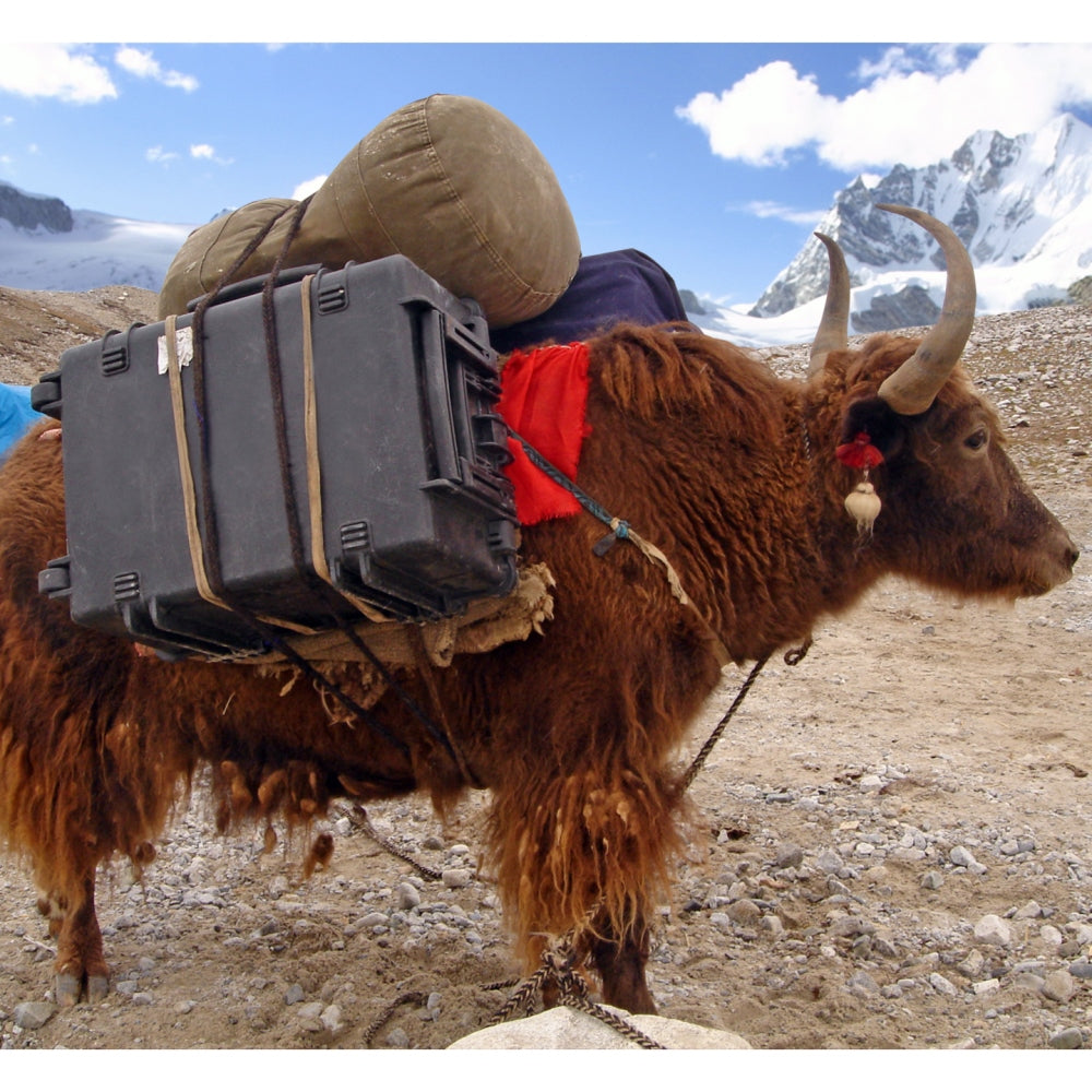 Explorer Cases 3317hl koffer zwart