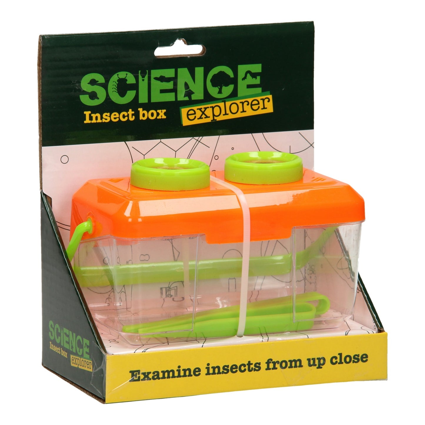Johntoy Science explorer insectenbox