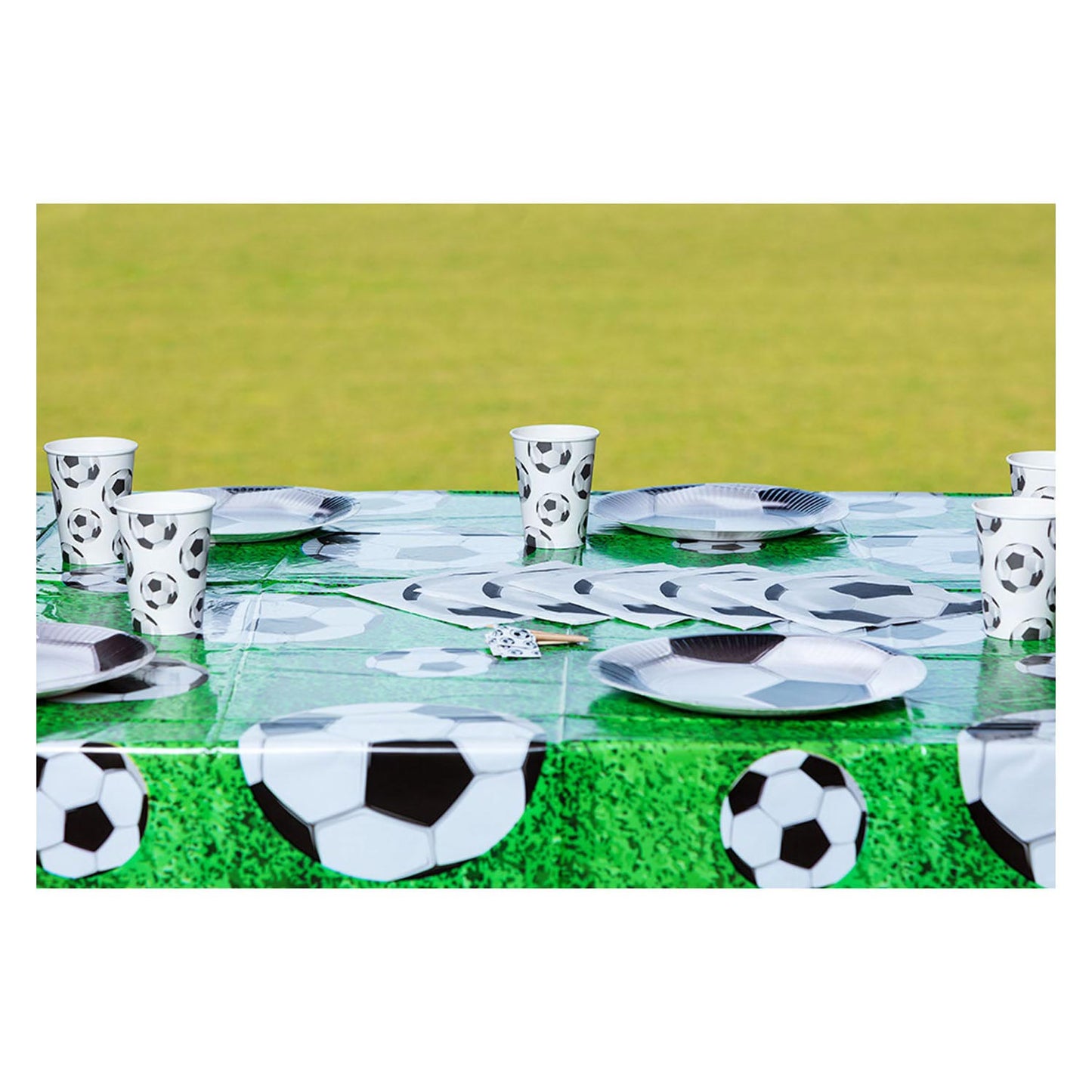 Boland Papieren bordjes voetbal 10 stuks ø23cm
